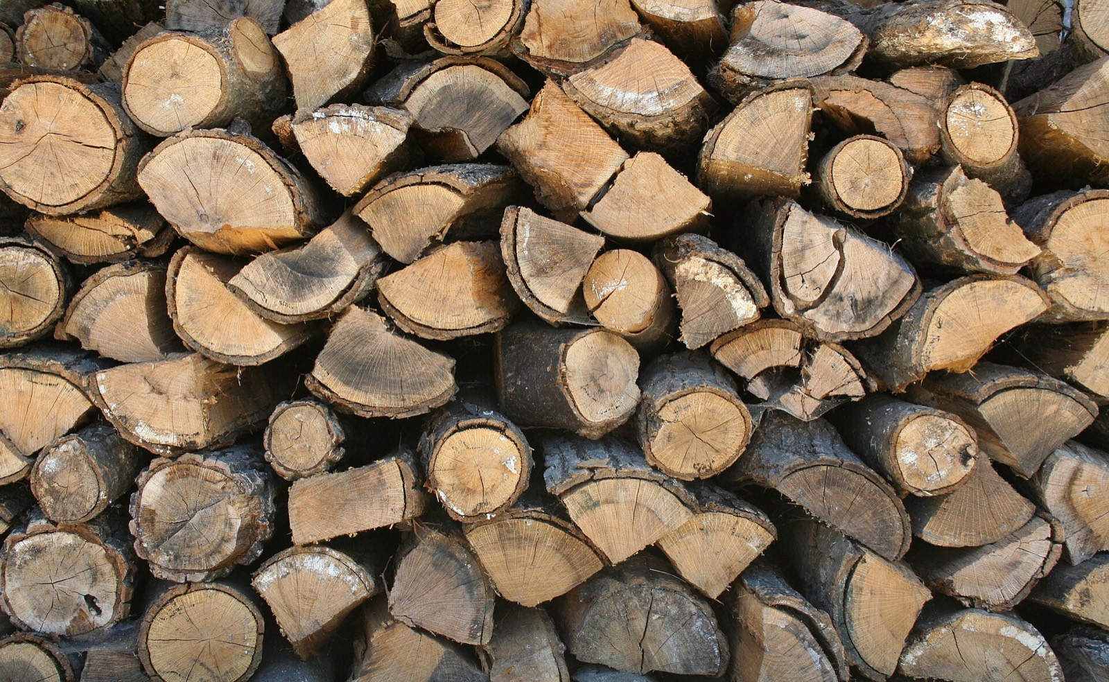 A stack of split firewood seen end on
